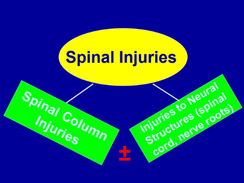 Spinal Injuries  Spinal Column Injuries  Injuries to Neural Structures (spinal cord, nerve